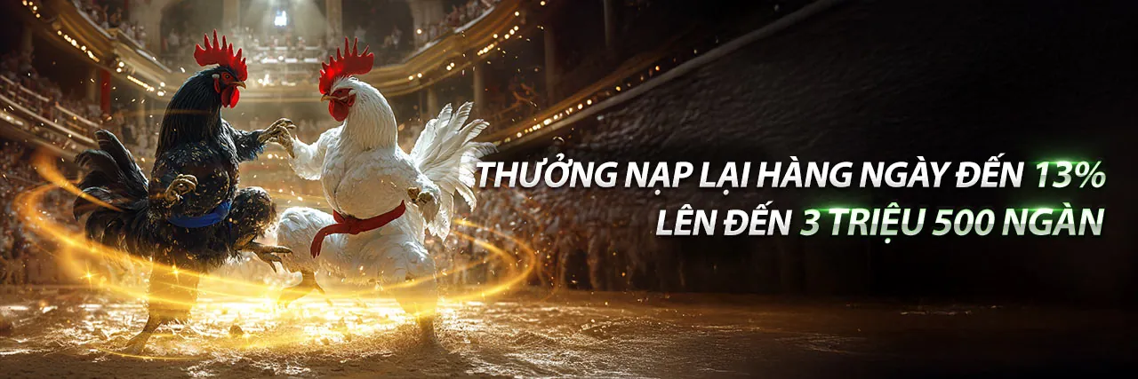 Đá gà trực tiếp 12 4 tại sàn đấu